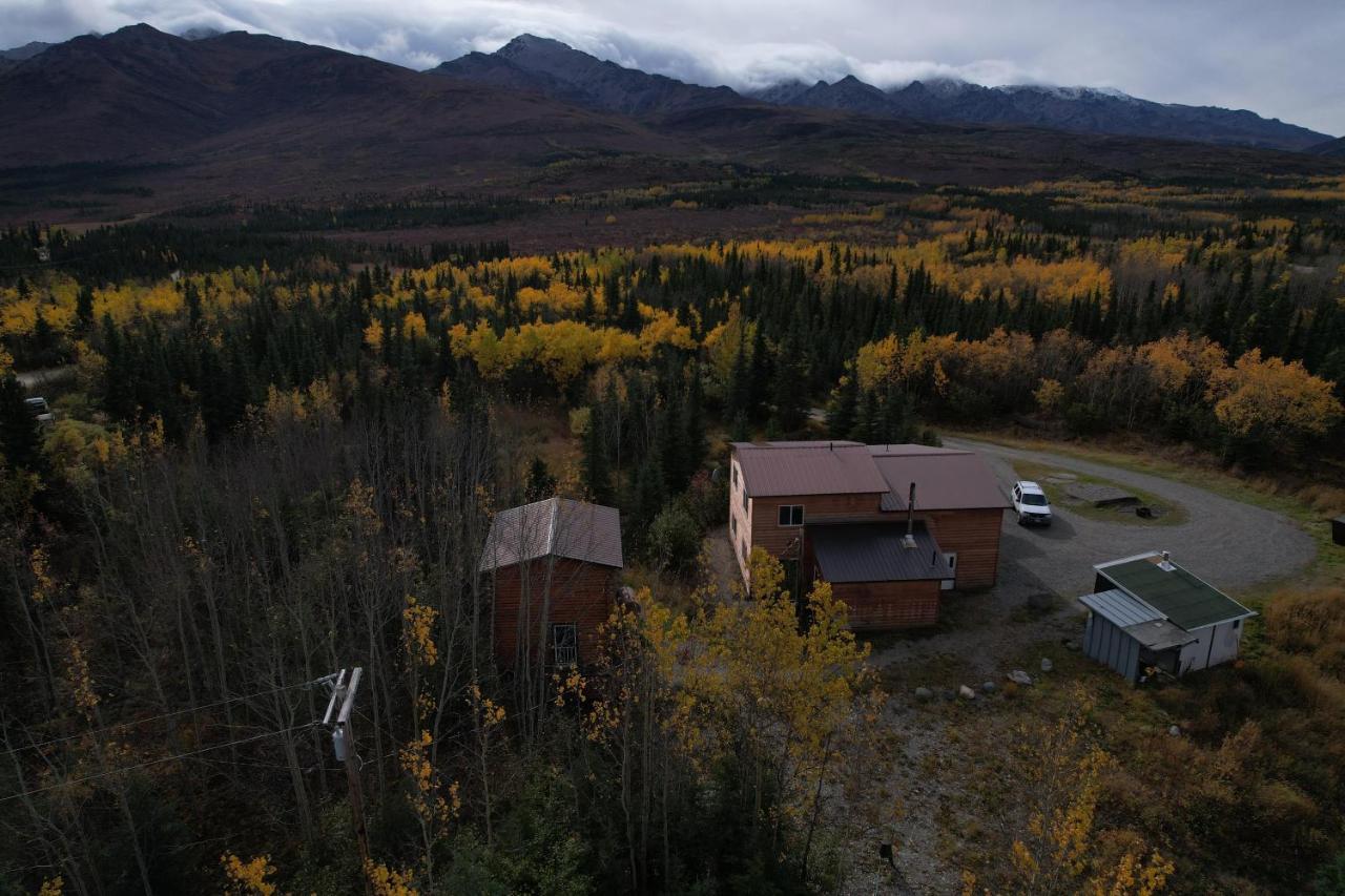 Denali Park View Family Log Cabin Exterior foto